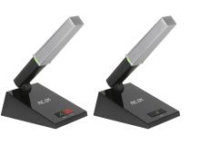 主席單元/代表單元