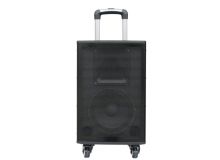 有源專業(yè)音箱 FX-12